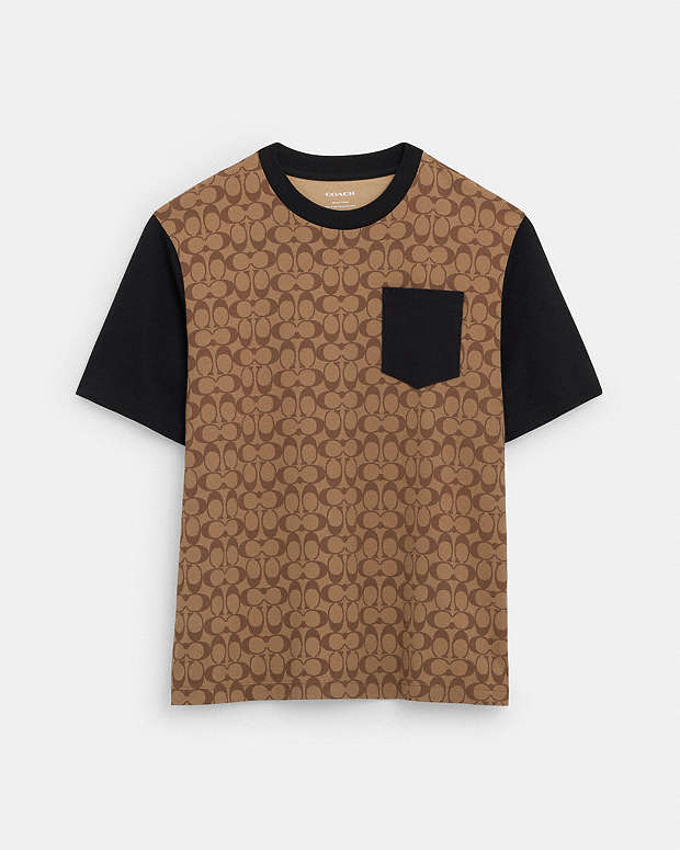Signature T Shirt In Organic Cotton Khaki Signature Khaki Signature