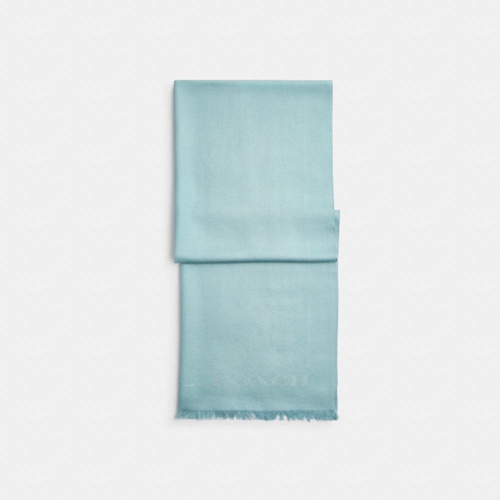 Coach Jumbo Horse And Carriage Wrap Light Blue