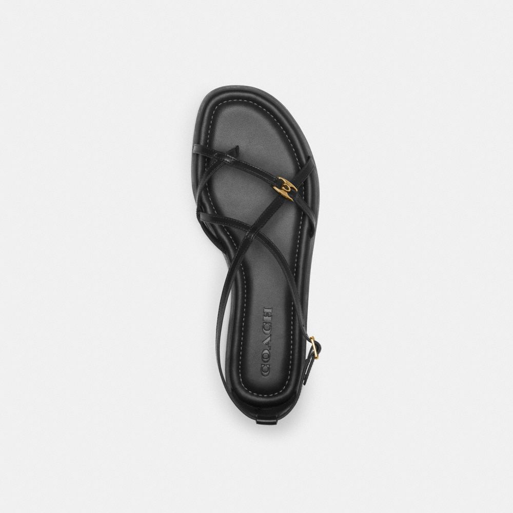 Coach Jenni Sandal Black