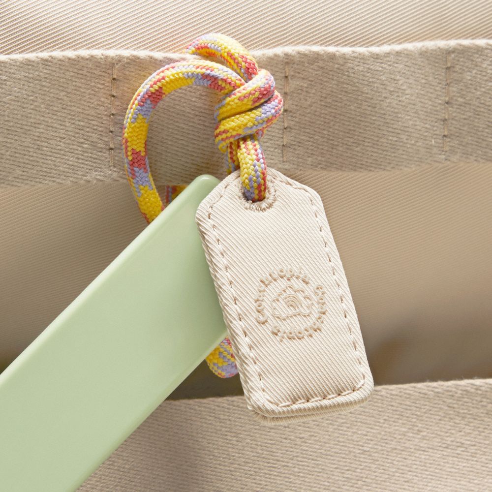 Coach Coachtopia Loop Mini Backpack Cloud