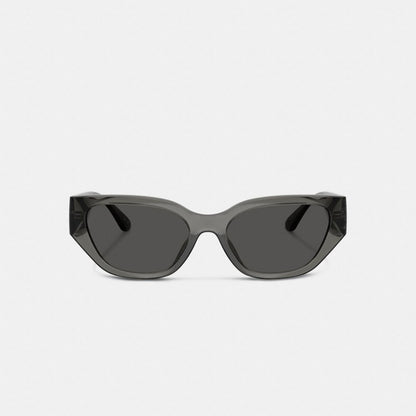 Coach Geometric Cat Eye Sunglasses Transparent Gray