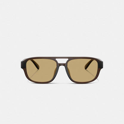 Coach Pilot Sunglasses Transparent Brown