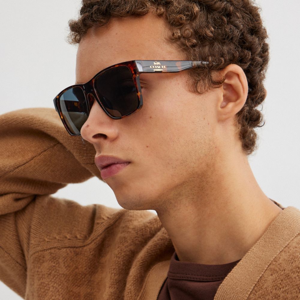 Square Sunglasses Dark Tortoise Dark Tortoise
