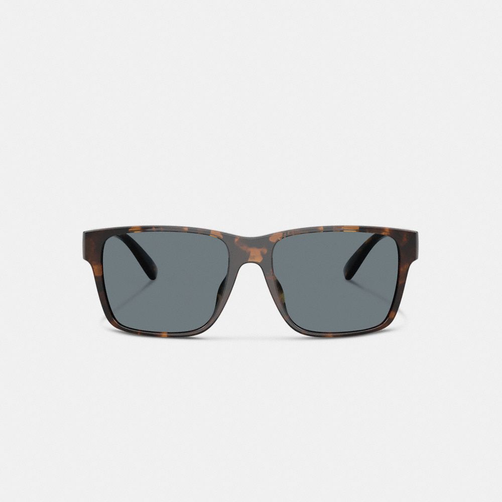 Square Sunglasses Dark Tortoise Dark Tortoise