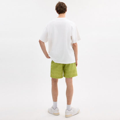Coach Pear Relaxed T Shirt In Organic Cotton Vintage Ivory