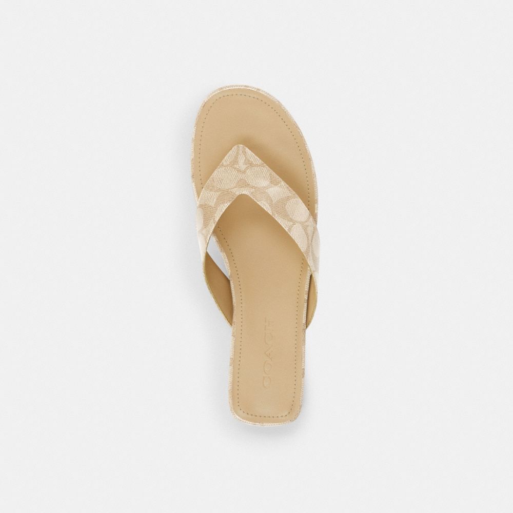 Coach Bridgette Sandal In Signature Canvas Beechwood