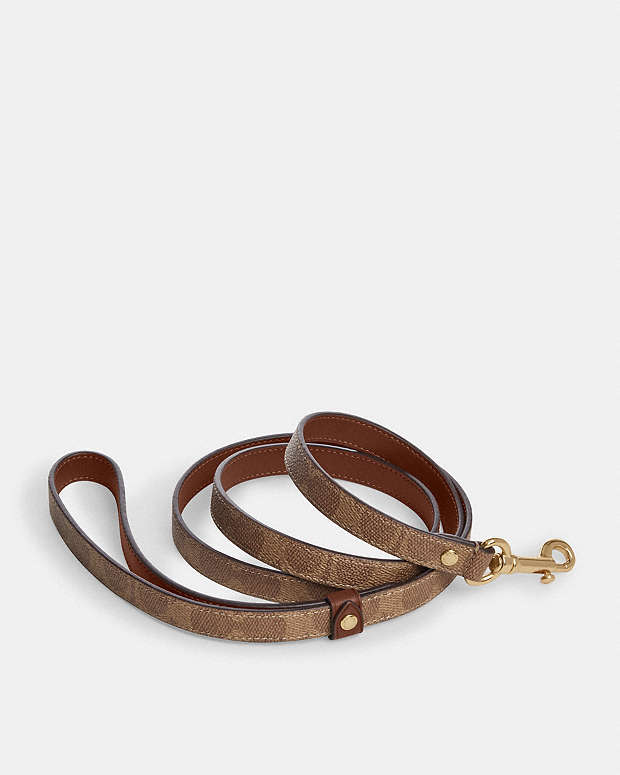 Boxed Small Pet Leash In Signature Canvas Signature Canvas-Gold-Tan-Brown Signature Canvas-Gold-Tan-Brown