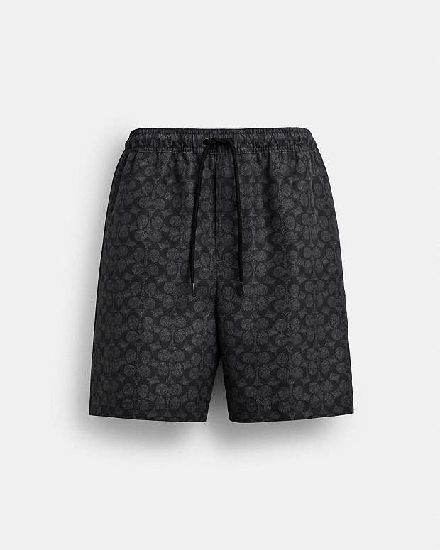 Signature Swim Trunks In Recycled Polyester Charcoal Signature Charcoal Signature