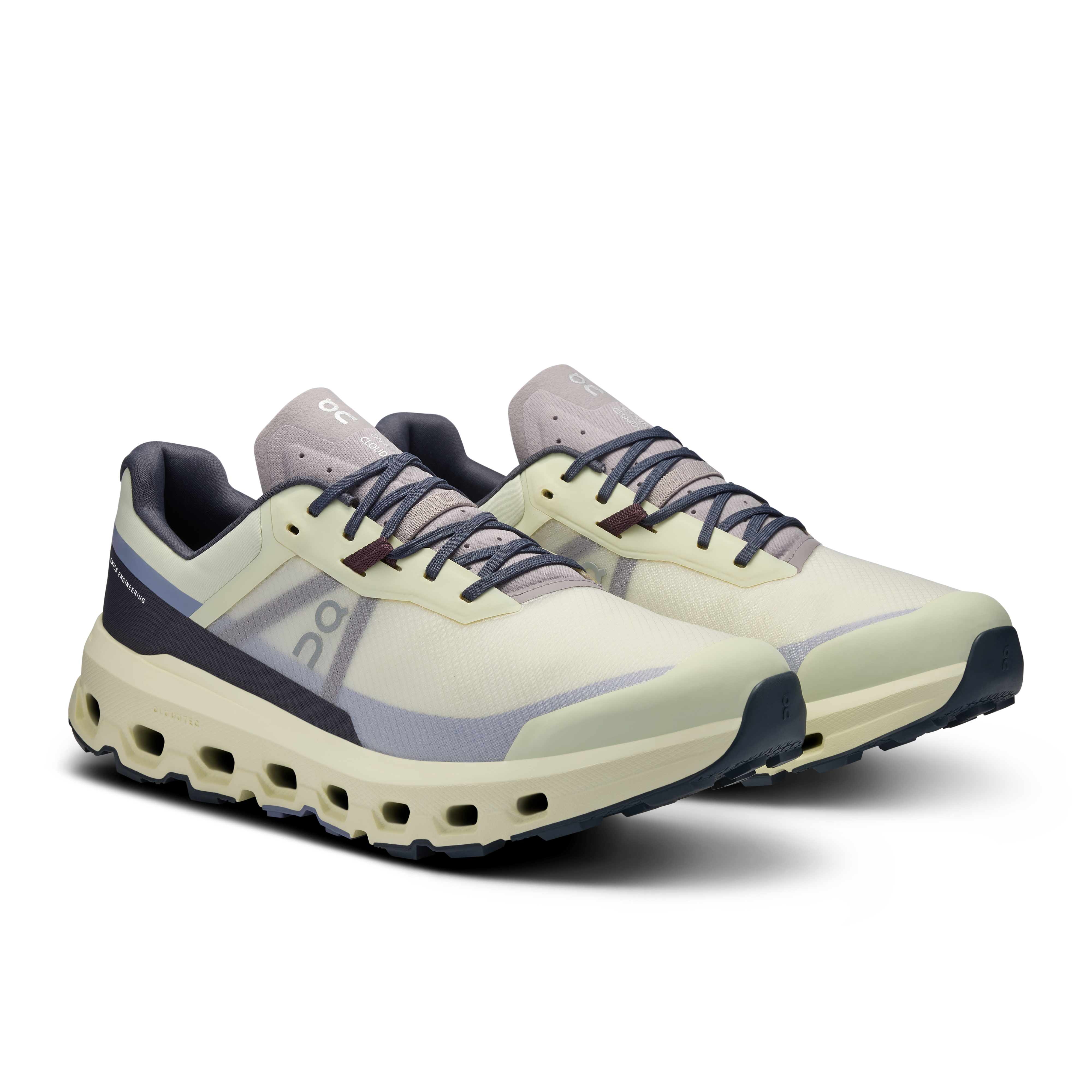 On Cloudvista 2 Seedling Mulberry