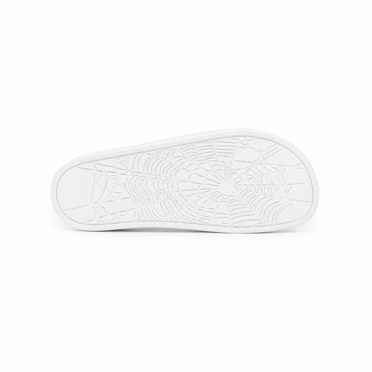 Sp5der ENZO Slide 001