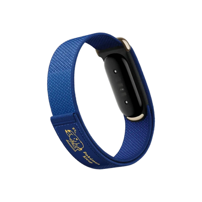 Google Fitbit Air Pokémon Edition