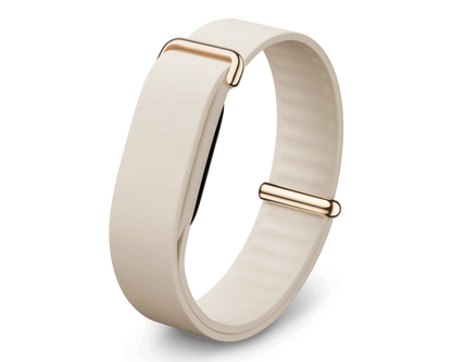 Google Fitbit Air Elevated Modern Band Strap