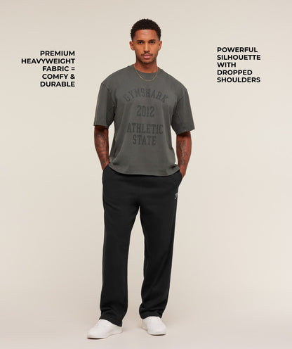 Gymshark Collegiate Washed T-Shirt Asphalt Grey