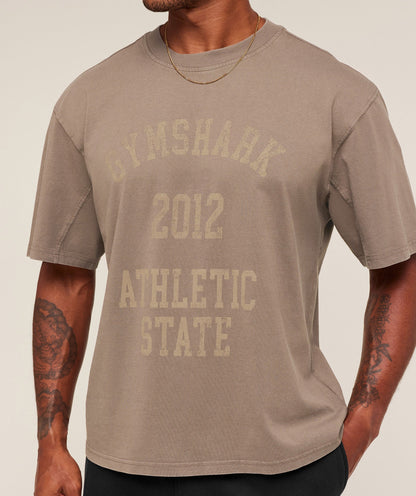 Gymshark Collegiate Washed T-Shirt Soft Brown