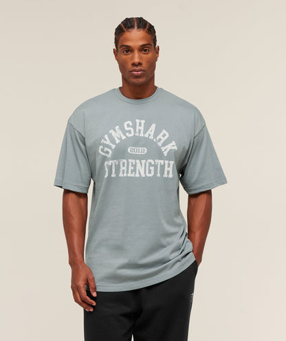 Gymshark 2012 Strength T-Shirt Denim Grey