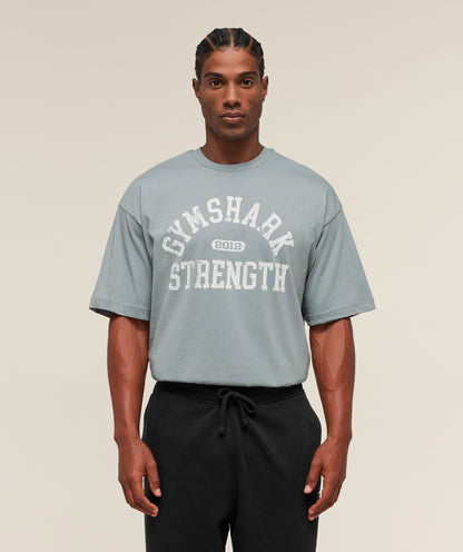 Gymshark 2012 Strength T-Shirt Denim Grey