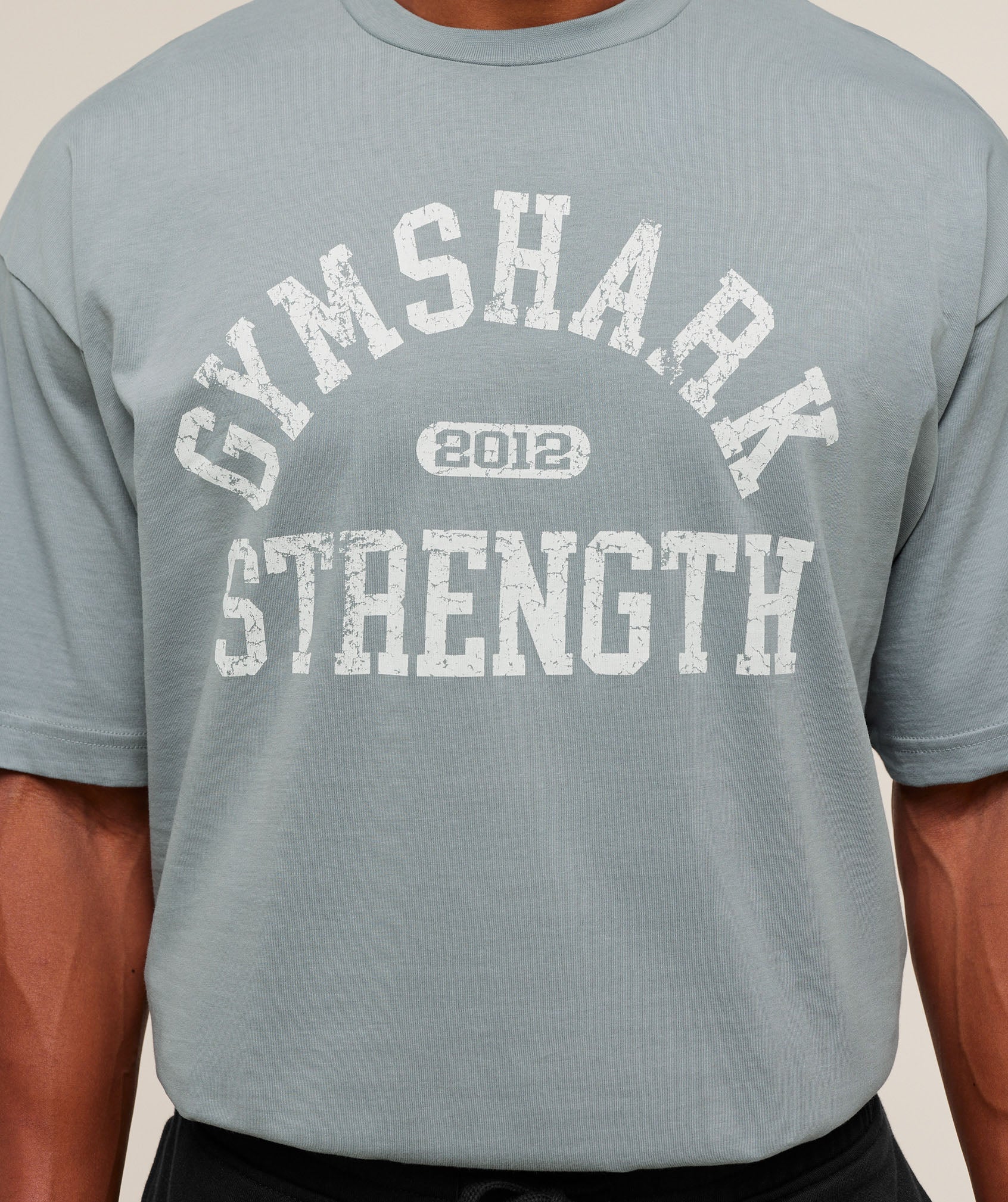 Gymshark 2012 Strength T-Shirt Denim Grey