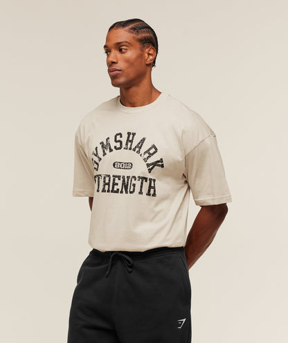 Gymshark 2012 Strength T-Shirt Pebble Grey