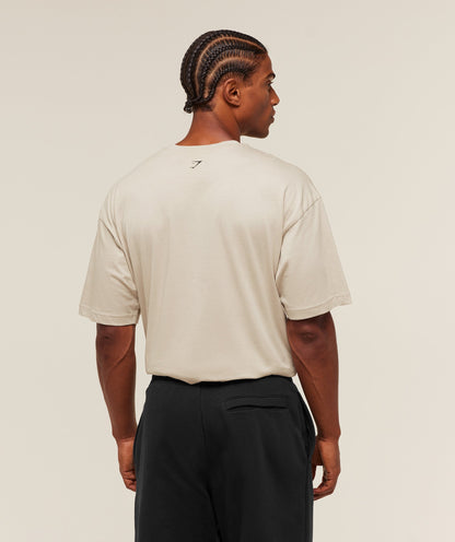 Gymshark 2012 Strength T-Shirt Pebble Grey