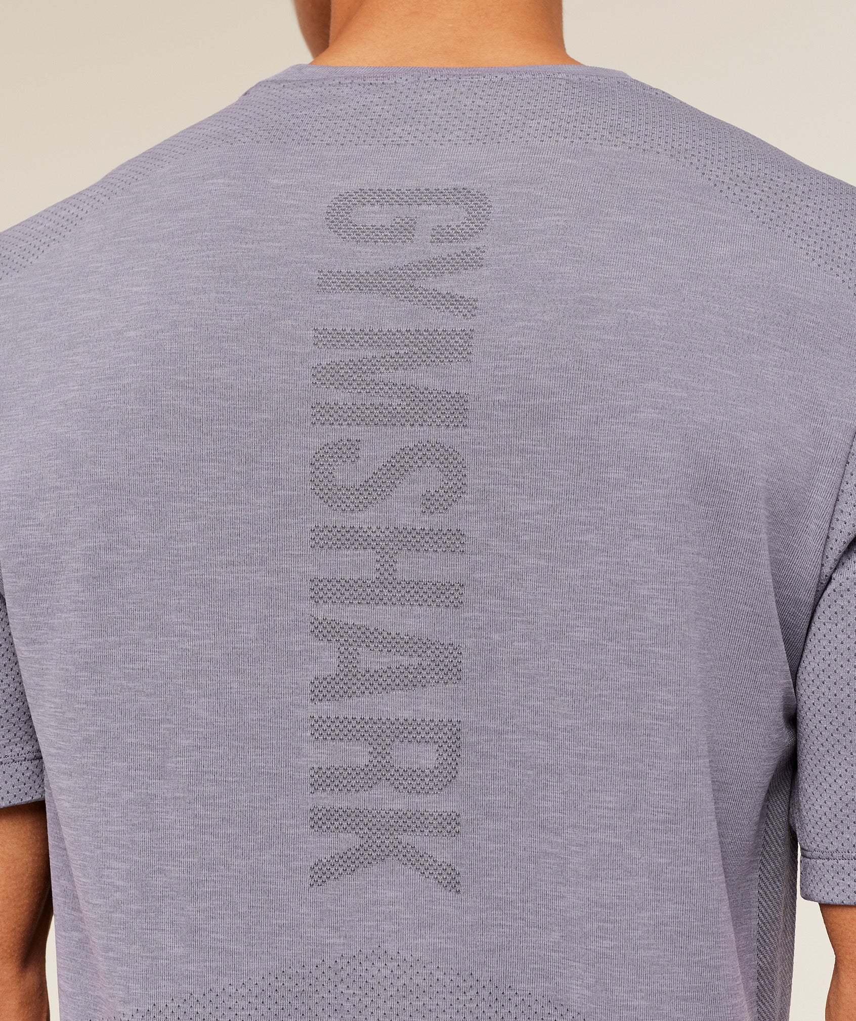 Gymshark Lightweight Seamless T-Shirt Gs Fog Purple