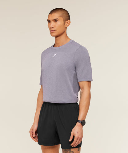 Gymshark Lightweight Seamless T-Shirt Gs Fog Purple