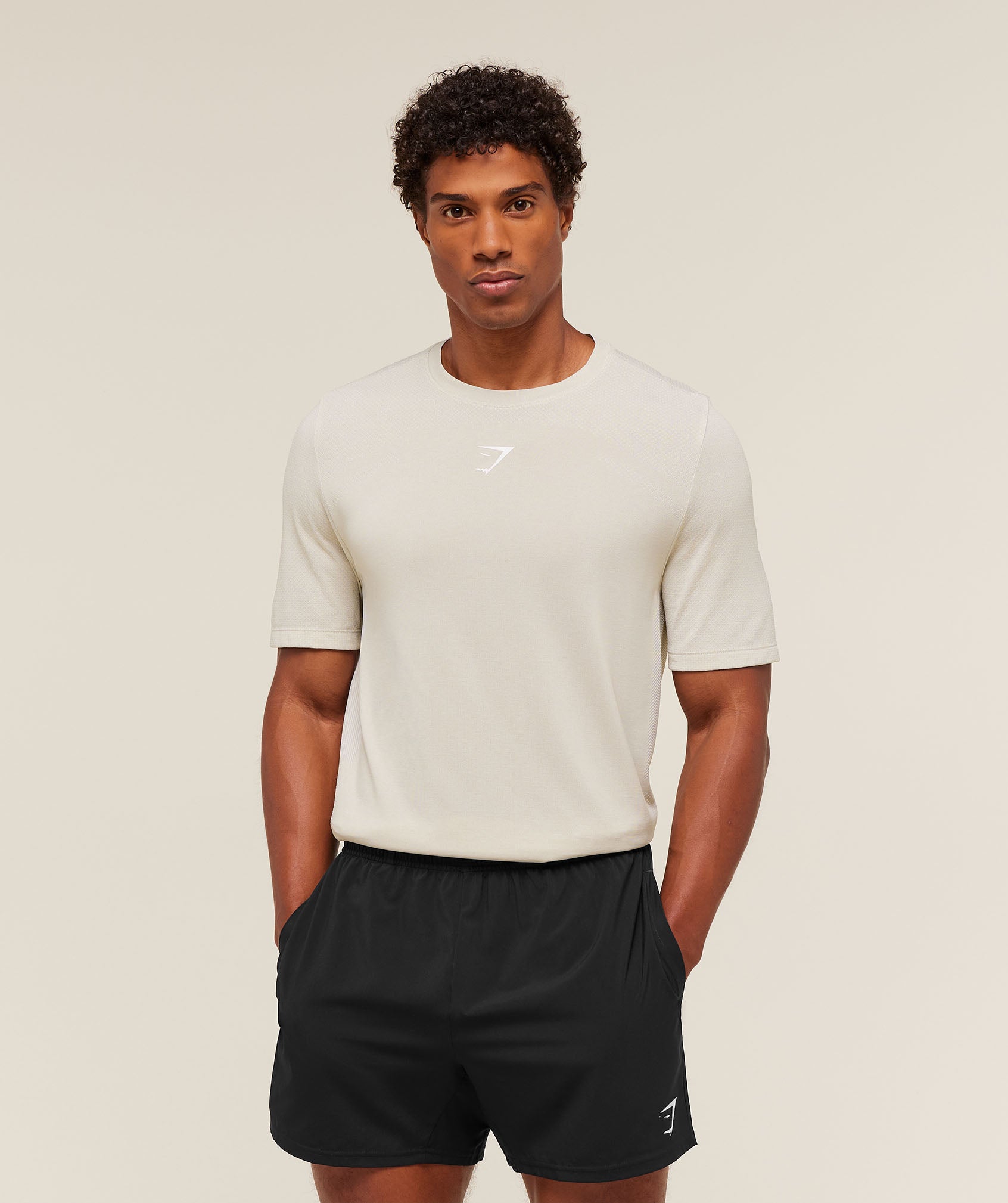 Gymshark Lightweight Seamless T-Shirt Pebble Grey
