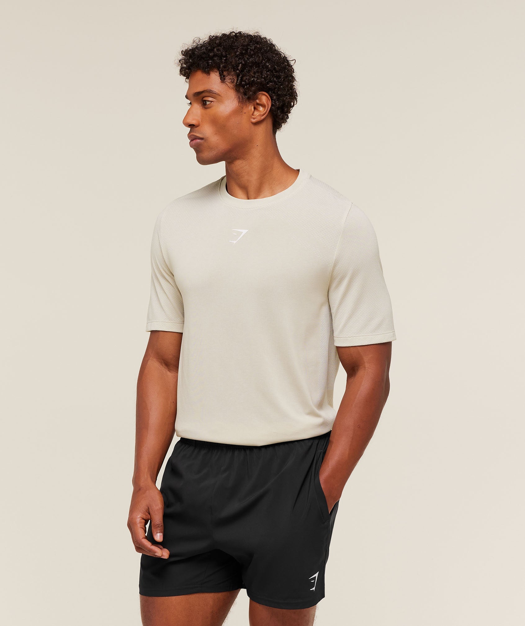 Gymshark Lightweight Seamless T-Shirt Pebble Grey
