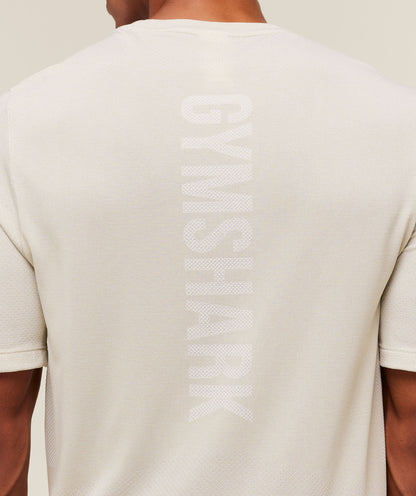 Gymshark Lightweight Seamless T-Shirt Pebble Grey