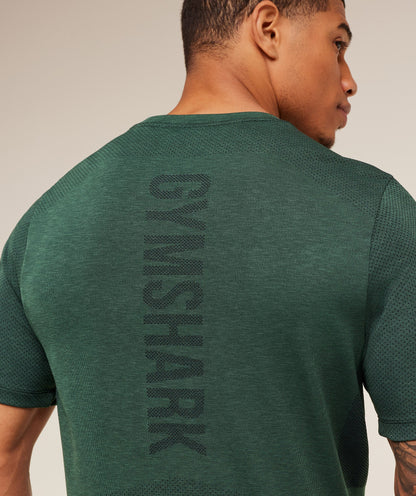 Gymshark Lightweight Seamless T-Shirt Gs Victory Green
