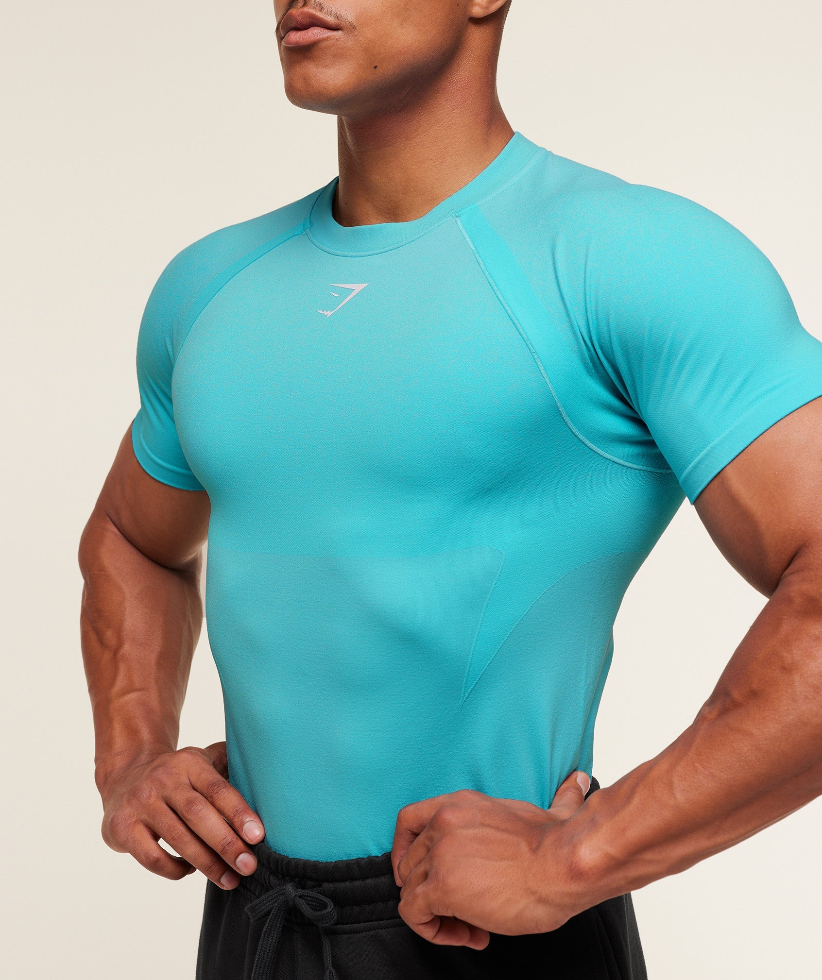 Gymshark Shadow Seamless T Shirt Brand Blue