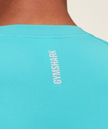 Gymshark Shadow Seamless T Shirt Brand Blue