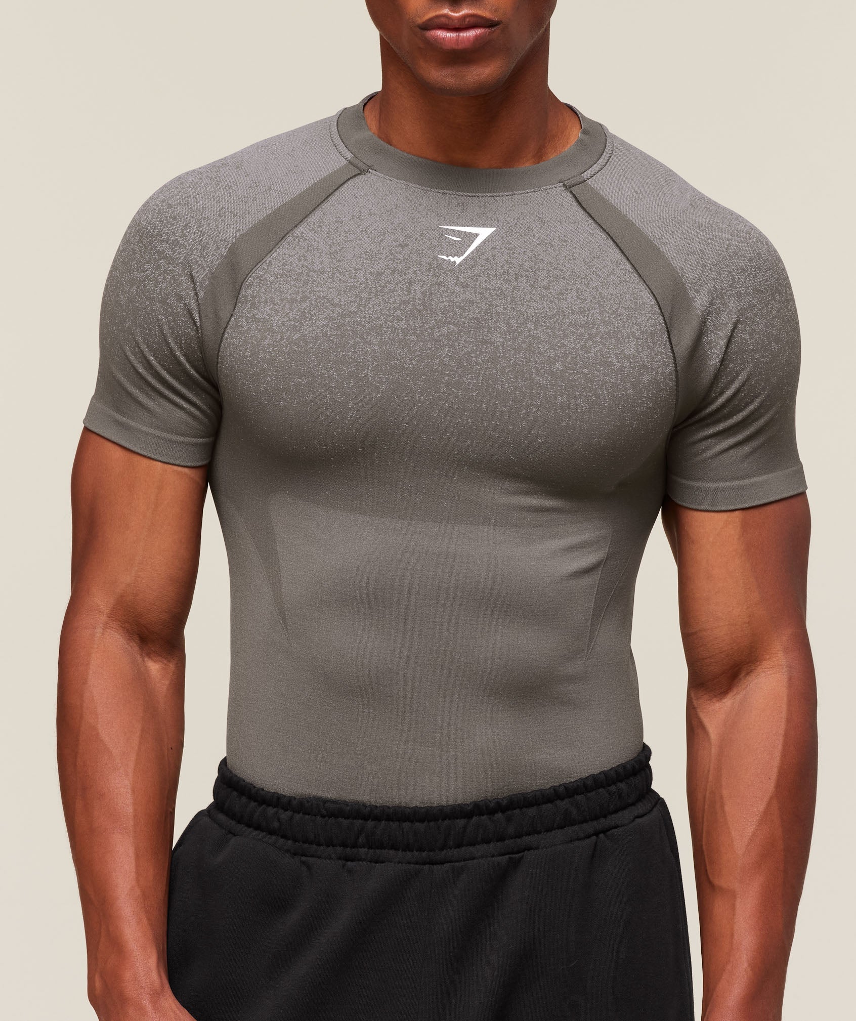 Gymshark Shadow Seamless T Shirt Meteor Grey
