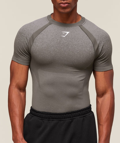 Gymshark Shadow Seamless T Shirt Meteor Grey