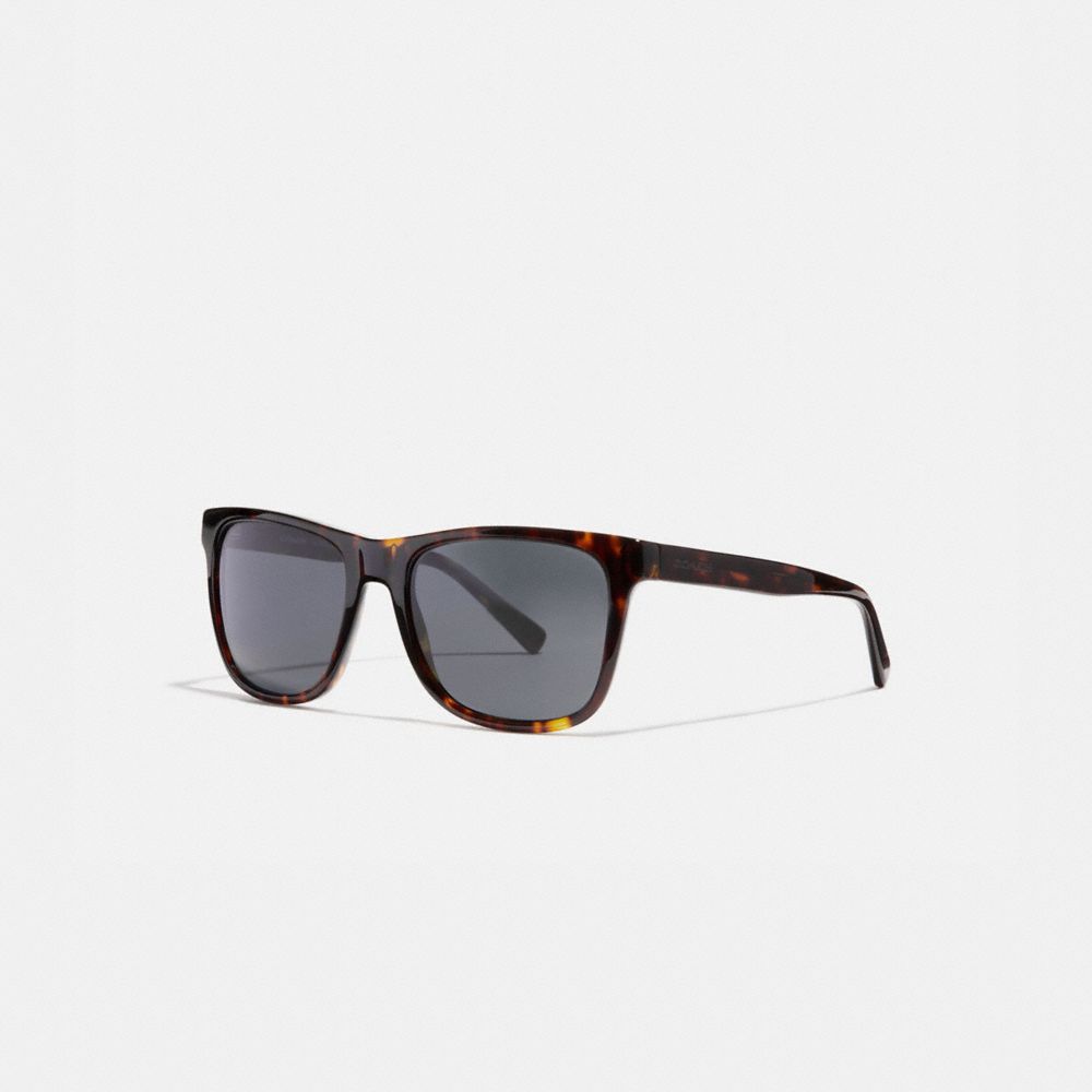 Leroy Sunglasses Dark Tortoise Dark Tortoise