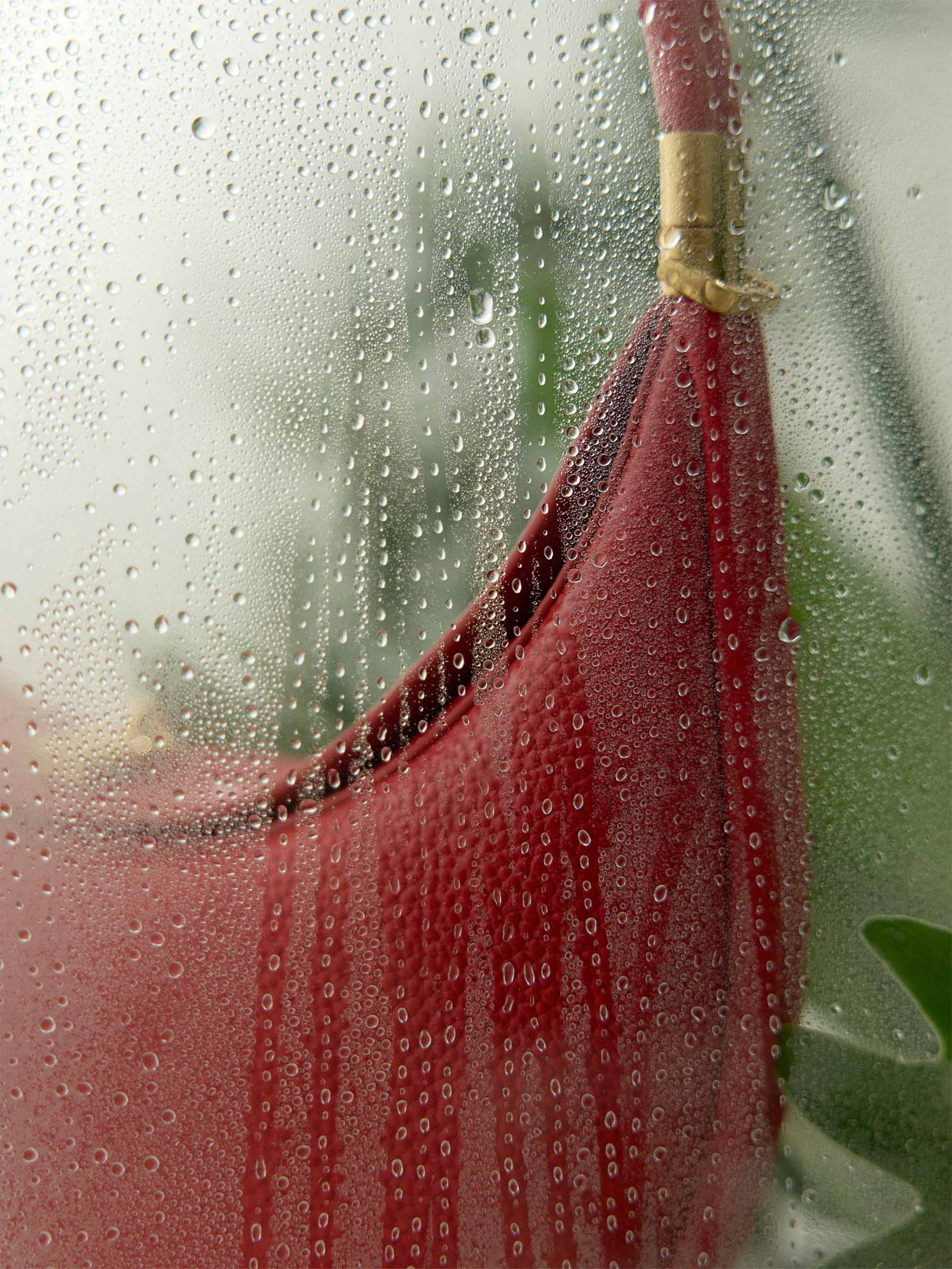 Songmont Luna Bag Lucky Red