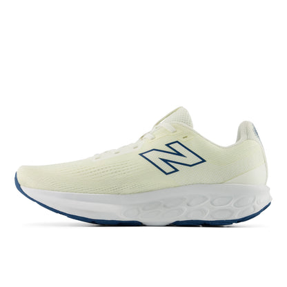 New Balance 520 V9 Sea Salt with Streamsong and Altitude