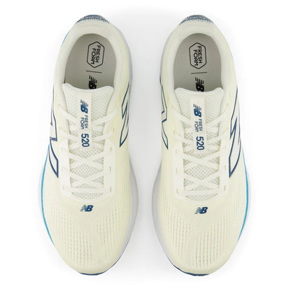 New Balance 520 V9 Sea Salt with Streamsong and Altitude