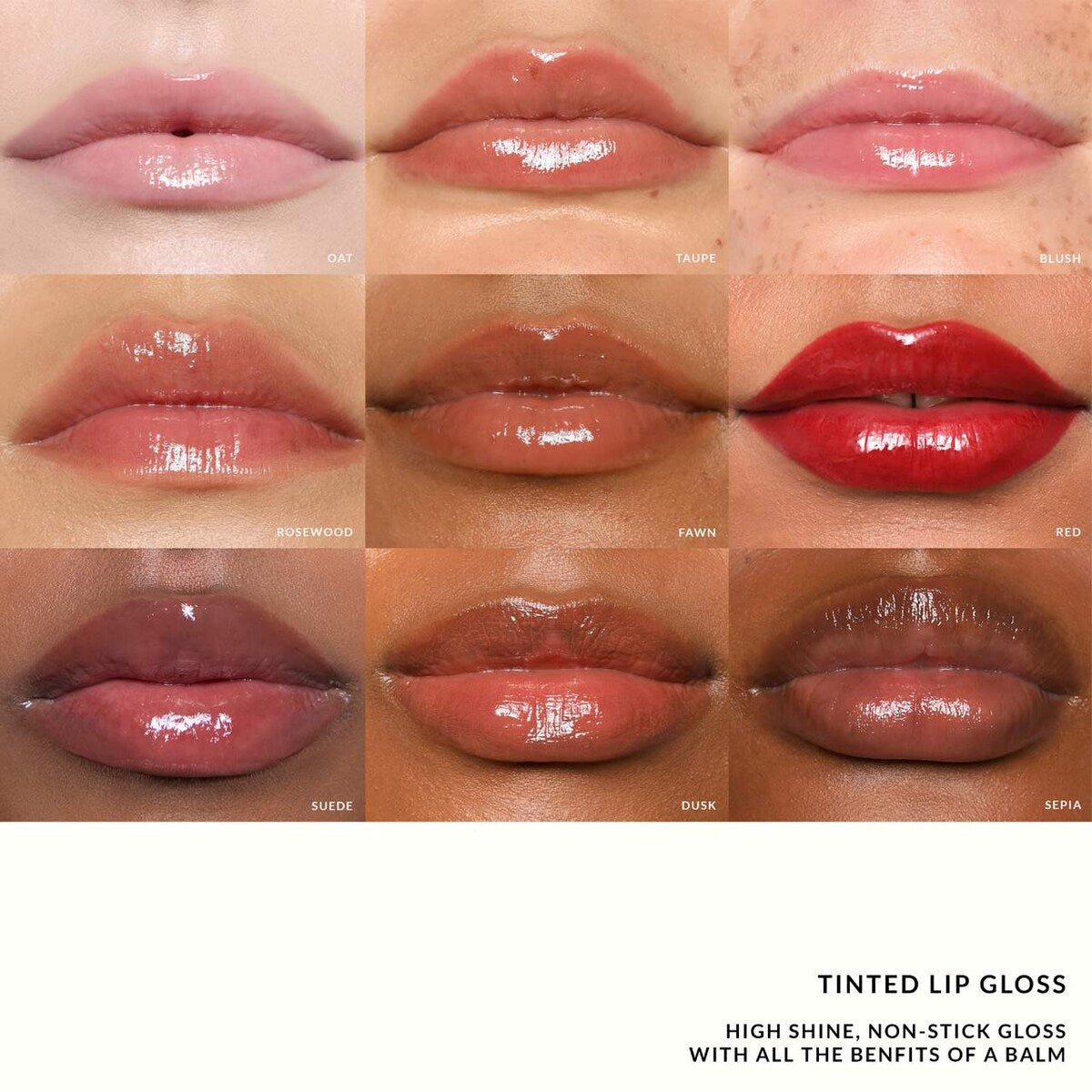 #color_fawn