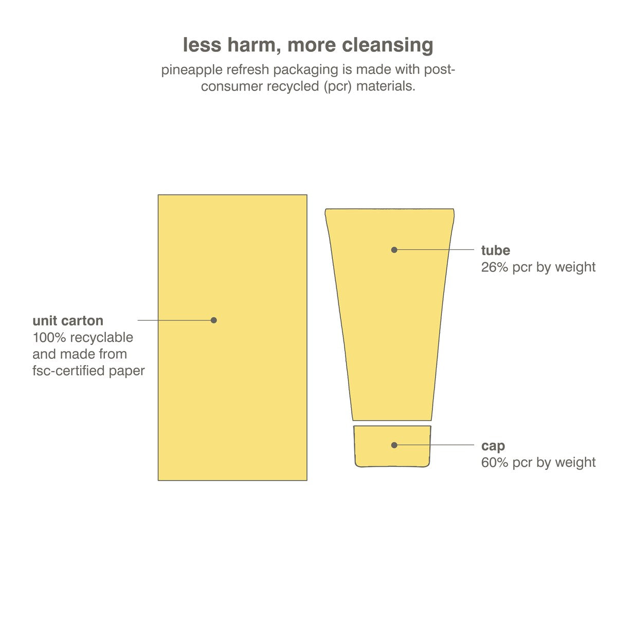 Pineapple Refresh PGA Daily Cleanser