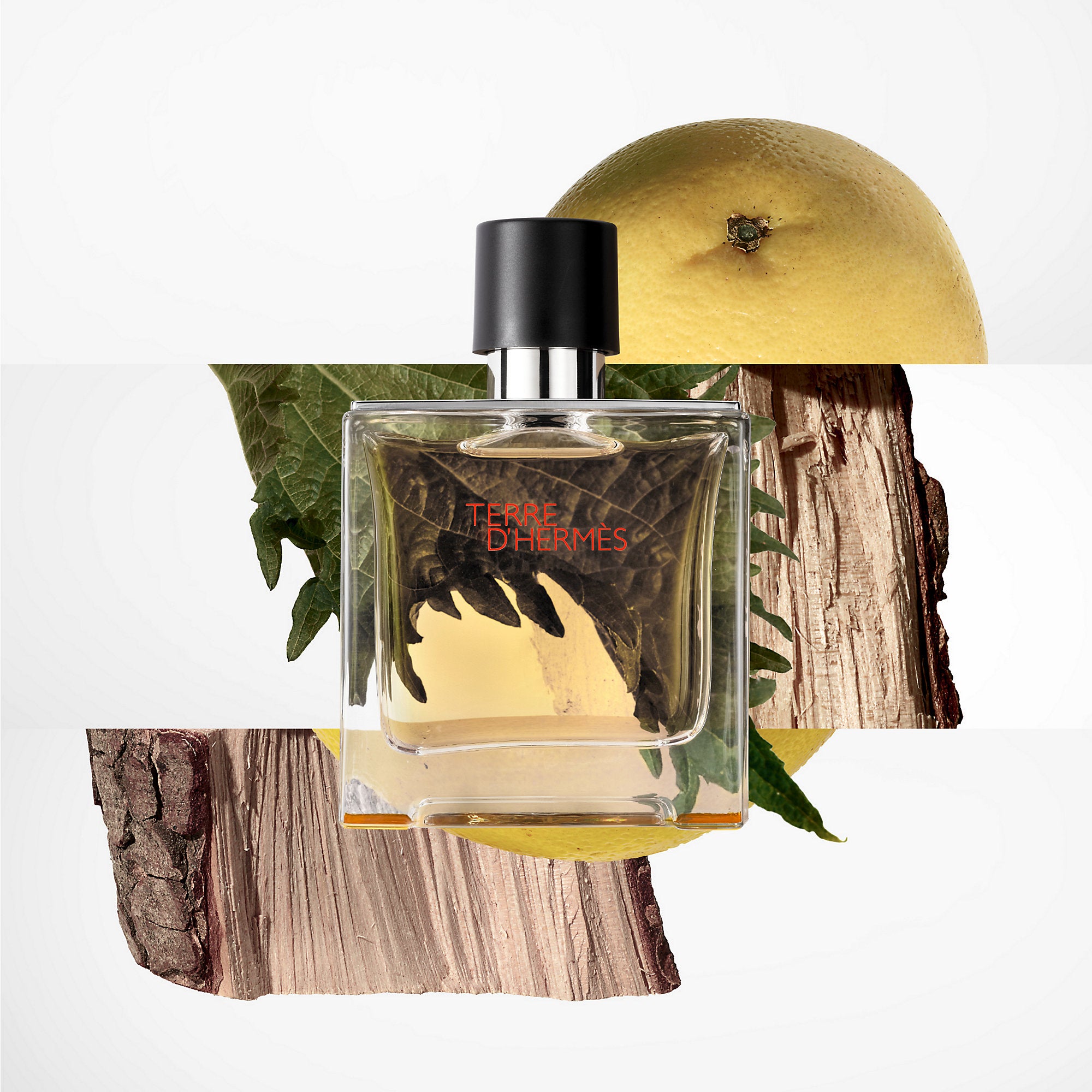 Hermes Terre D' Eau De Toilette