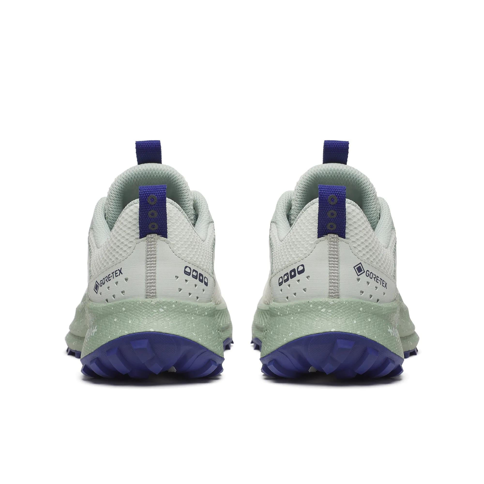 Saucony Women's Ride TR2 GTX Quartz | Mist