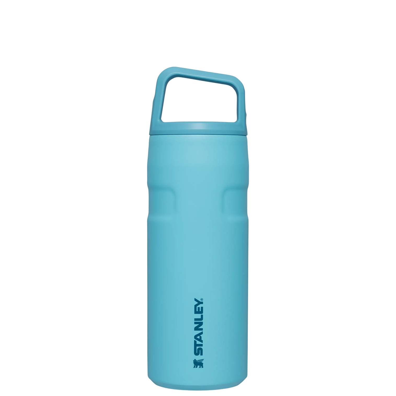 IceFlow Bottle with Cap and Carry+ Lid | 16 OZ Pool Pool