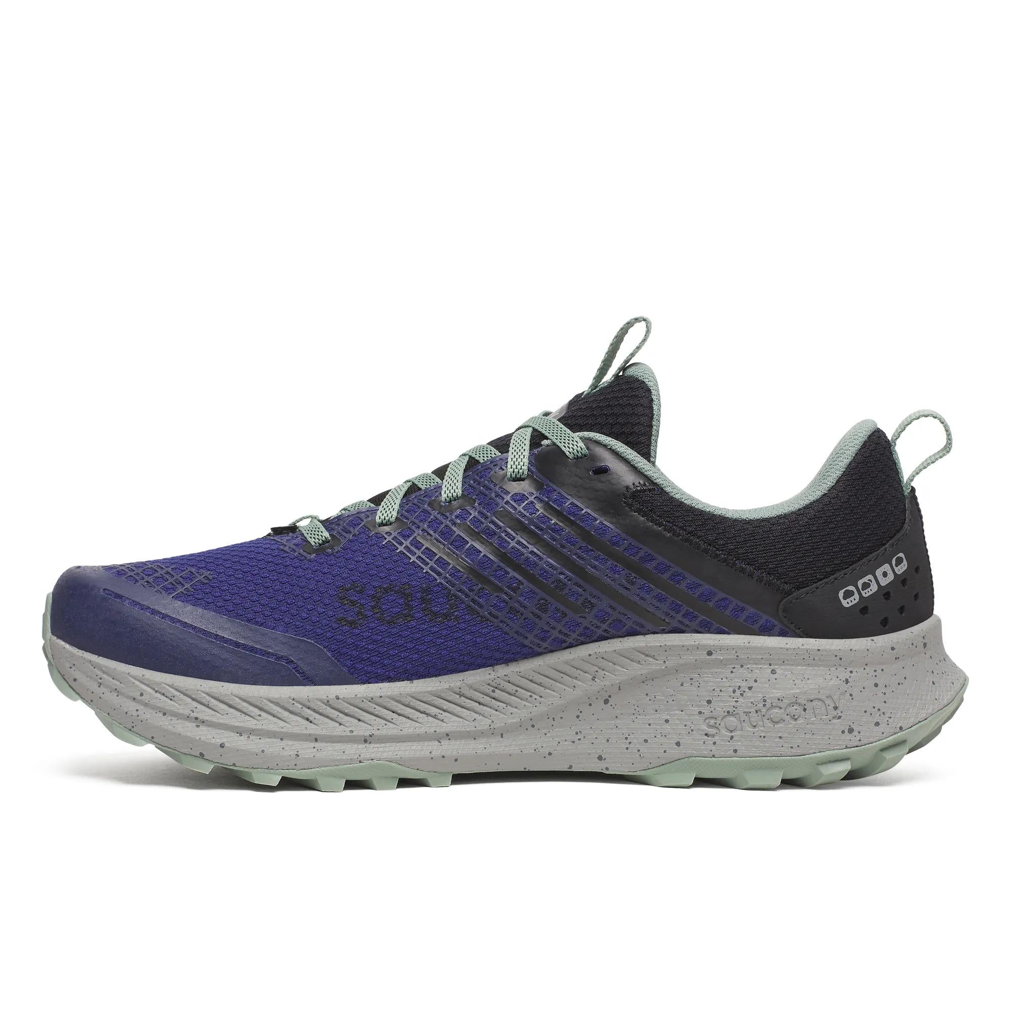 Saucony Men's Ride TR2 GTX Regal | Black
