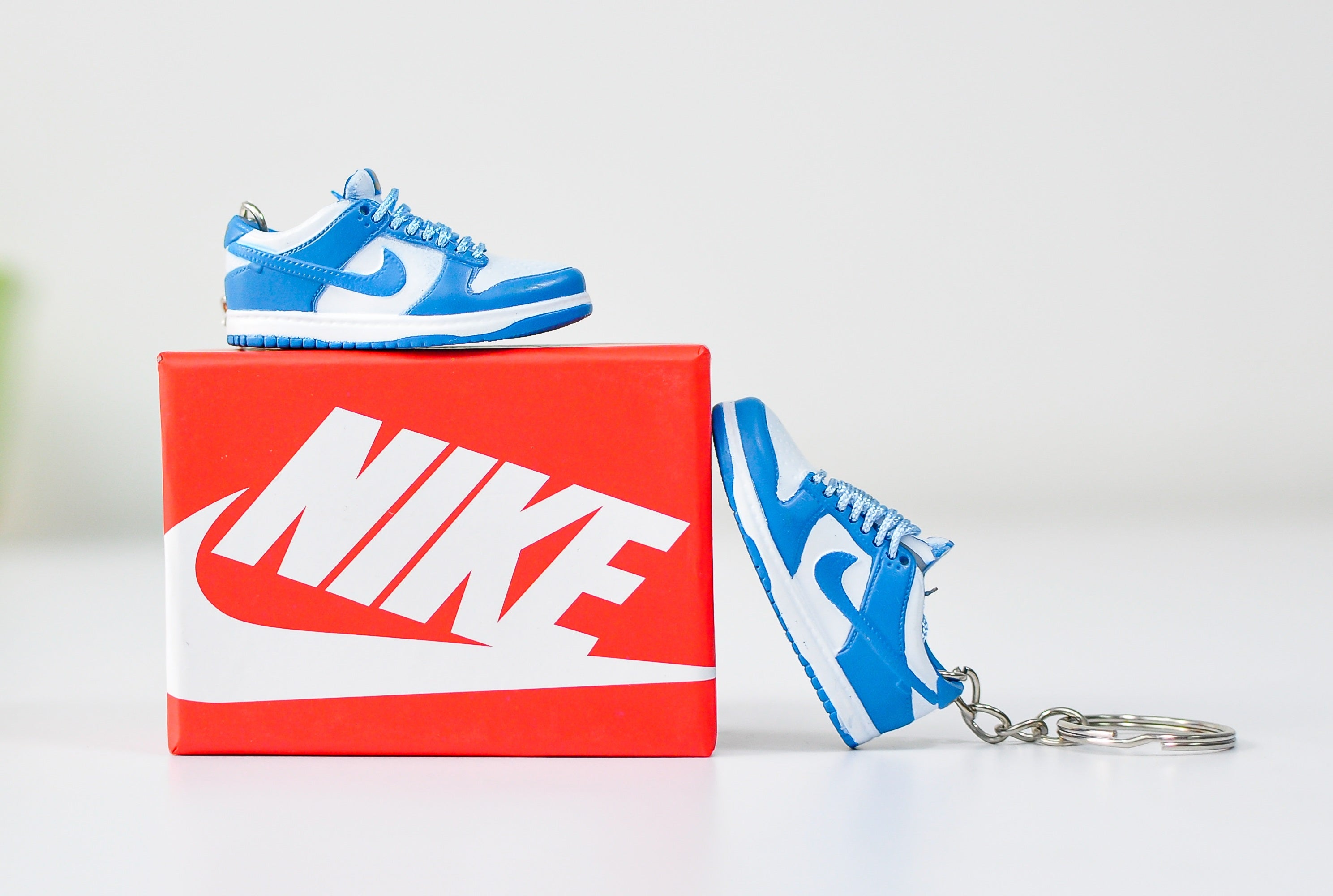 dunk keychain with box